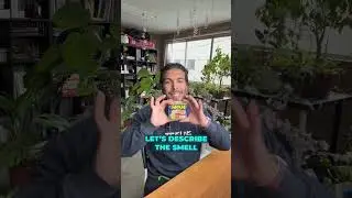Let's Talk About Spam Chips