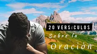 20 Versículos  sobre la Oración