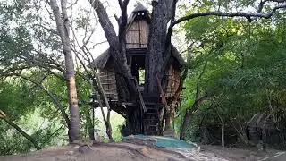 Национальный парк Крюгер. ЮАР.