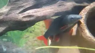 His name is Jimmy