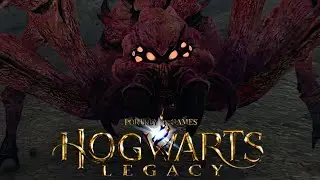 Hogwarts Legacy - Прохождение 11 - Гробница Галкрада. Куча пауков.