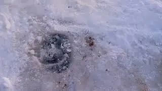 рыбалка на амуре 1.12.23