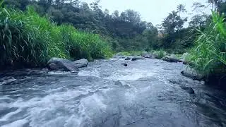 Live Relaxing Water Sounds – Tranquil Nature Ambience for Sleep & Stress Relief