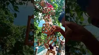 මේ ගෙඩි වර්ගෙ අඳුරනවද?