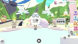 Where to find All Easter EGGS in Roblox Adopt Me!