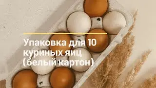 Упаковка для 10 куриных яиц (белый картон) | SHKOLHOZ
