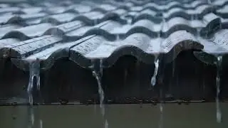 Gentle Rain Sounds for Sleeping | Soothing Sleep Sounds for Adults