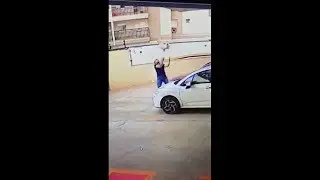 HOMEM SALVA CACHORRINHO QUE CAI DE PRÉDIO #SHORTS