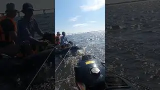 Одно видео, а столько эмоций! 