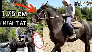 😱Дубал бузган БТР САТЫЛДЫ 🐎 САЯПКЕР  11.09.19