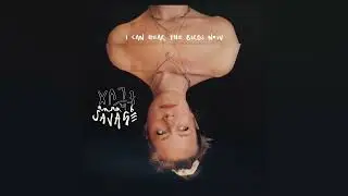 Anna B Savage - I Can Hear the Birds Now (Official Audio)