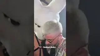 Заяц целуется с девушкой в ночном клубе 🔥 
