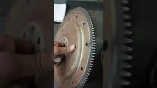 Rate my flex plate #funny