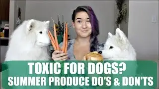 Toxic for Dogs? Summer Produce Do's and Don'ts