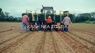 Η φύτευση της Τομάτας Γκρέκα!