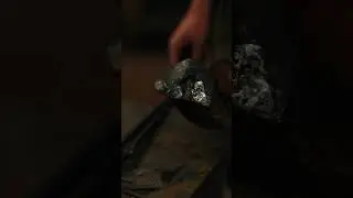 Welding up the Cow's Nose #blacksmith #Highlandcow #forge