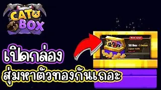 CatBox ( Tele Game) สุ่มตัวละครตามหาตัวทอง จะเกลือมั้ย สายฟรีเล่นได้