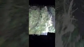 10 сентября 2023 г.