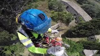 come tagliare un grande albero senza abbatterlo tecniche abbattimento controllato