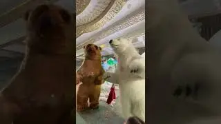 ayiqlar tuyda uynashi😁 Samarkand bears #медведь #love #той ##baby #праздник #поздравление