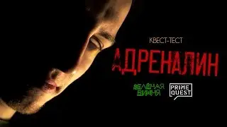 КВЕСТ-ТЕСТ: «АДРЕНАЛИН» (PrimeQuest)
