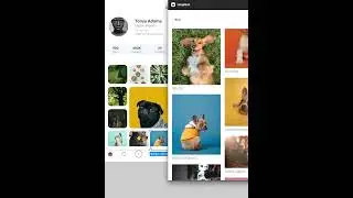 Social Media App Design