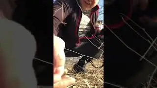 Duck Hunting 2022