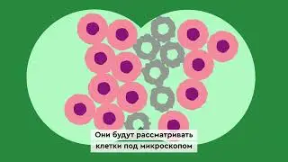 What is cancer? (Russian) | Что такое рак? (Русский) | Macmillan Cancer Support