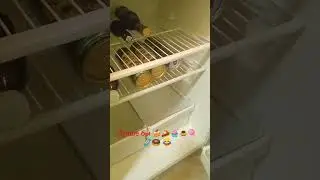 # Марта Добрая#