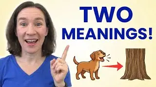 15 words with multiple meanings: Beginner, Intermediate, Advanced