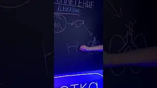 Почему когда бьют в солнечное сплетение перехватывает дыхание? #биология #ОГЭ