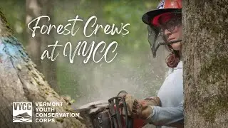 Under the Canopy | Helping Ecosystems & Boosting Skills on a VYCC Forest Crew