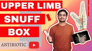 ANATOMICAL SNUFF BOX DETAIL EXPLANATION WITH UNIVERSITY NOTES📔📔