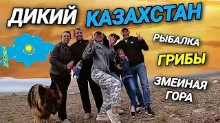 КАЗАХСТАНСКАЯ СТЕПЬ. РЫБАЛКА. ГРИБЫ. ПОКОРИЛИ ЗМЕИНУЮ ГОРУ.