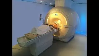 Brain Scan