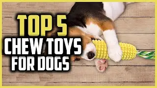 ✅Top 5 Best Chew Toys for Dogs in 2024