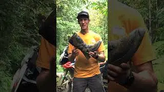 #Shorts ADV Boot Testimonial