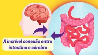 How some BACTERIA in the INTESTINE can influence our MOOD