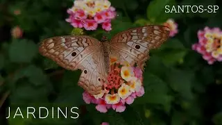 JARDINS • SANTOS-SP