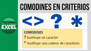 Comodines en criterios