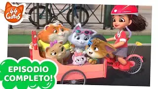 44 Gatos | Latinoamérica | Una chica muy especial [EPISODIO COMPLETO]