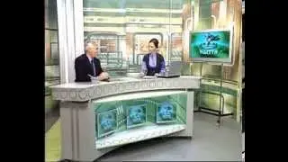 Лечение Сивашской грязью - на ТВ подробно