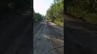 На Савинское озеро #shorts #new #велосипед #nature #gopro
