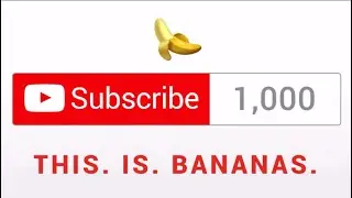 Thank you, more than a 1000 subs!!!