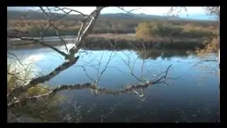 Познавательный видеословарь рыбака  343