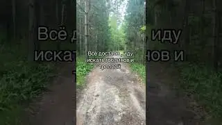 А вы как ?
