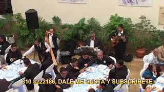 MUSICA COLOMBIANA EN VIVO EN BOGOTA