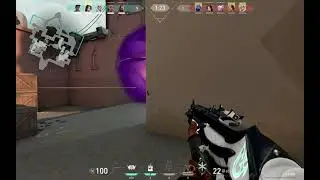 Skye Ultimate sound glitch mid game