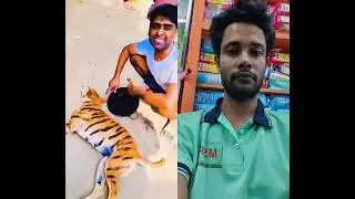 যারা শিয়াল দেখলে ভয় পায় তারা বাঘ দেখলে কি করবে? #foryou #funny #comedy #dog #doglover #dogs