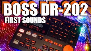 Boss DR-202 Drum Machine. Unboxing and First Jam (with SP-202)